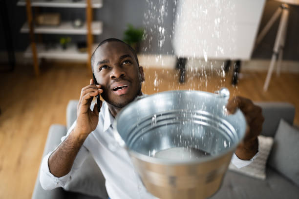 Best Carpet water damage restoration  in Vero Beach South, FL