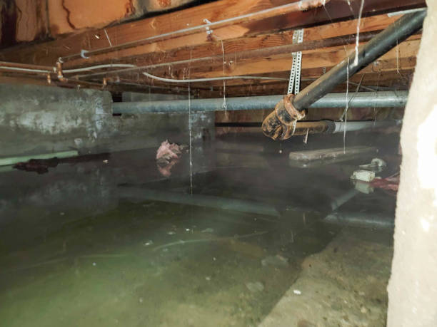 Best Water damage restoration services  in Vero Beach South, FL