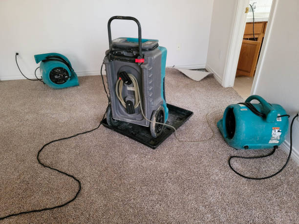 Best Water damage contractors near me  in Vero Beach South, FL