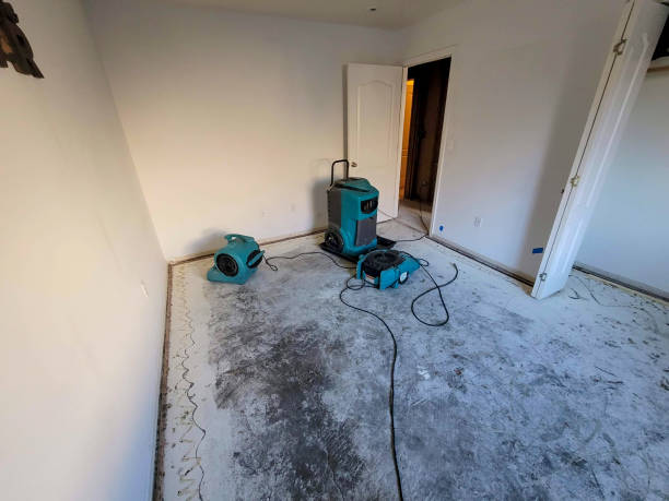 Best Flooded house restoration  in Vero Beach South, FL