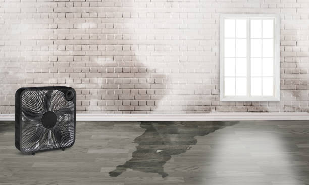Professional Water damage restoration in FL