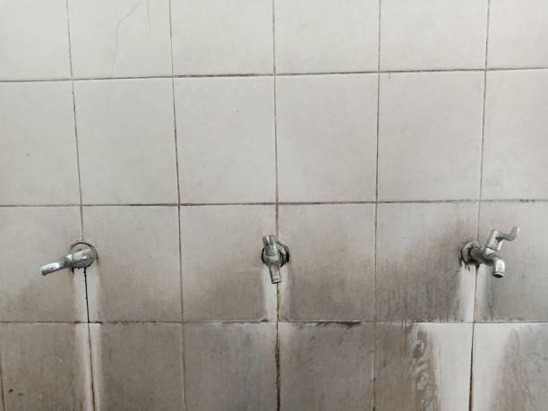 Best Water damage cleanup near me  in Vero Beach South, FL
