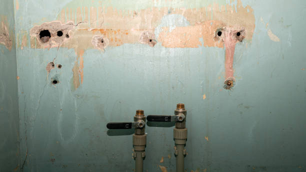 Best Residential water damage restoration  in Vero Beach South, FL