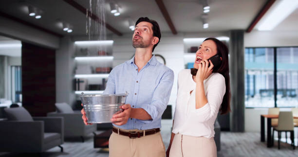 Best Water damage contractors near me  in Vero Beach South, FL