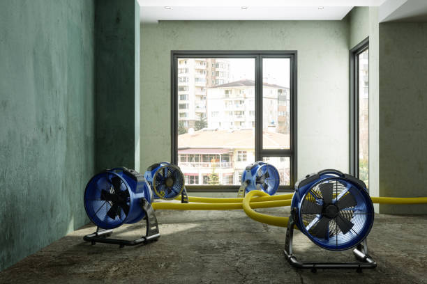 Best Water damage restoration near me  in Vero Beach South, FL