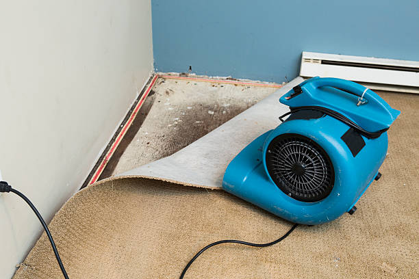 Best 24-hour water damage restoration  in Vero Beach South, FL